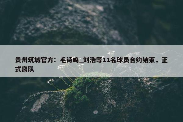 贵州筑城官方：毛诗鸣_刘浩等11名球员合约结束，正式离队