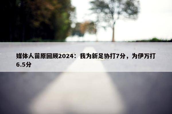 媒体人苗原回顾2024：我为新足协打7分，为伊万打6.5分