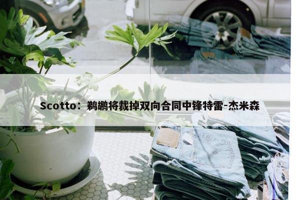 Scotto：鹈鹕将裁掉双向合同中锋特雷-杰米森