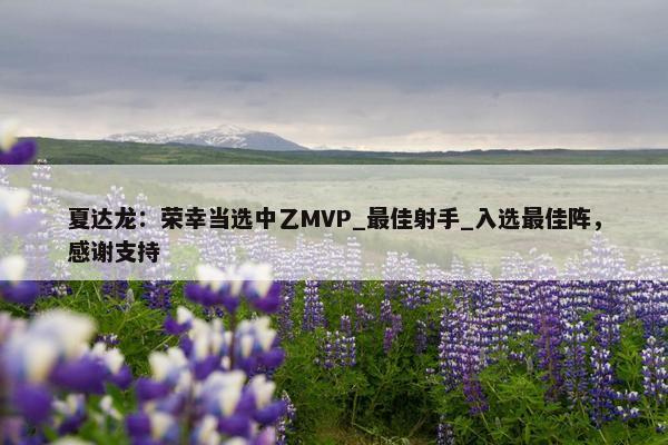 夏达龙：荣幸当选中乙MVP_最佳射手_入选最佳阵，感谢支持