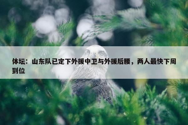 体坛：山东队已定下外援中卫与外援后腰，两人最快下周到位