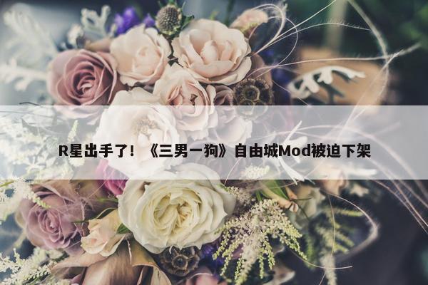 R星出手了！《三男一狗》自由城Mod被迫下架