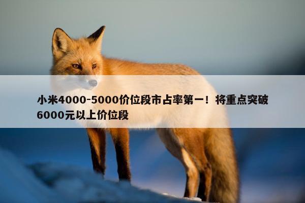 小米4000-5000价位段市占率第一！将重点突破6000元以上价位段